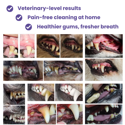 Laly SonicClean — Ultrasonic Dog Tooth Cleaner