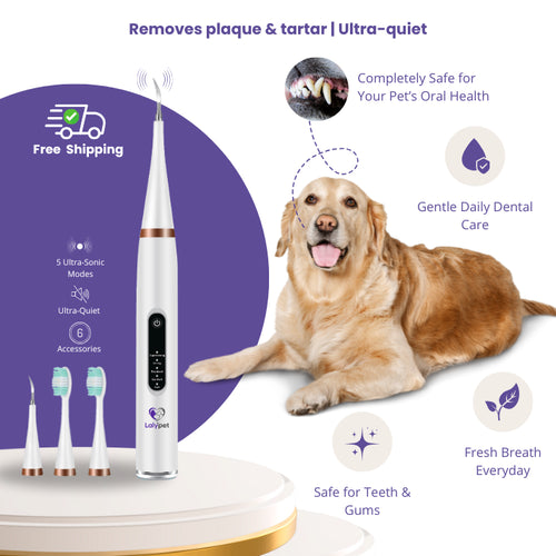 Laly SonicClean — Ultrasonic Dog Tooth Cleaner